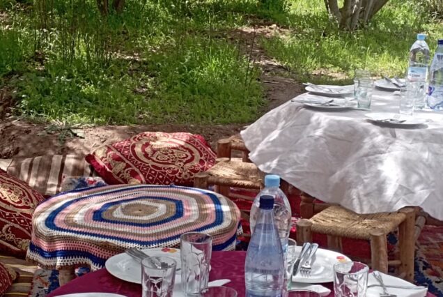 Adventure Excursion with Quad, Buggy, and Local Hospitality - Twin Experience