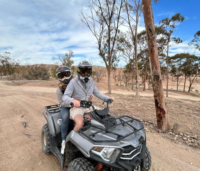 Half-Day Buggy and Quad Adventure in Marrakech, Morocco, Agafay Desert