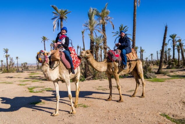 Camel excursion in Marrakech, Morocco, offering a unique and authentic desert experience