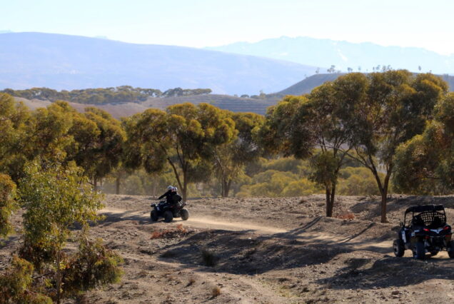 Full-Day Quad and Buggy Excursion in the Heart of the Atlas Mountains from Marrakech