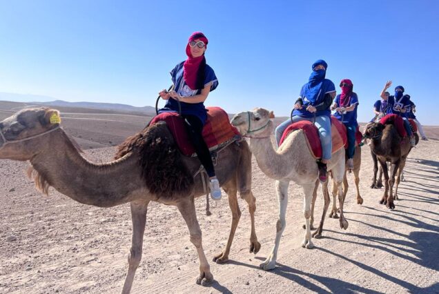 Quad Safari, Camel Ride, and Dinner in the Agafay Desert